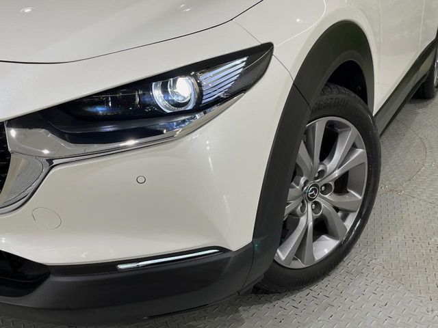 CX-30