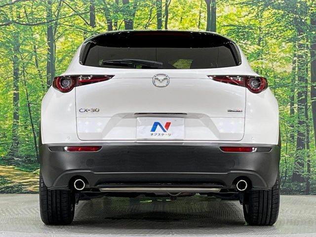 CX-30