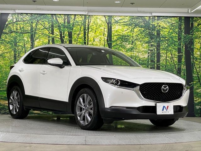 CX-30