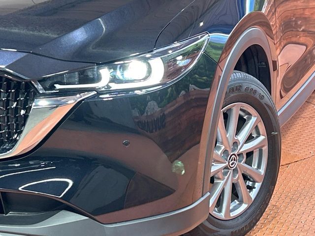 CX-8