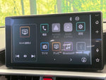 RAIZE HYBRID