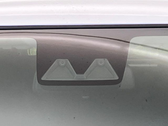 RAIZE HYBRID