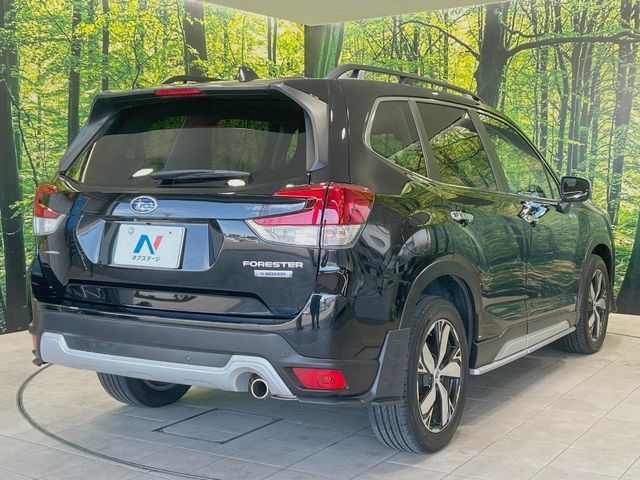 FORESTER