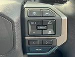 LANDCRUISER 250