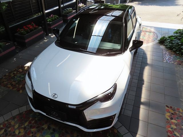 LEXUS LBX