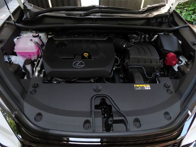LEXUS LBX