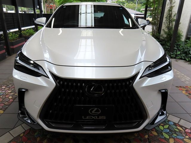 LEXUS NX350h AWD
