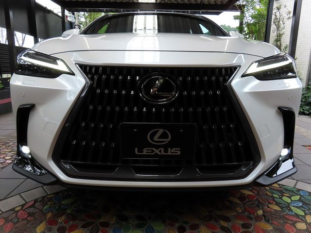 LEXUS NX350h AWD
