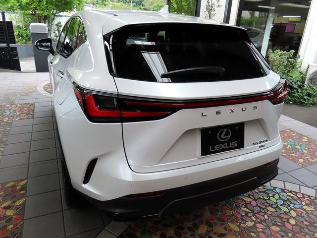 LEXUS NX350h AWD