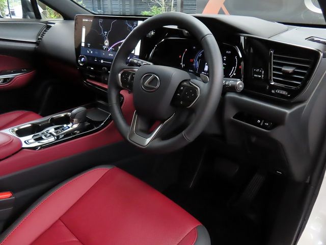 LEXUS NX350h AWD