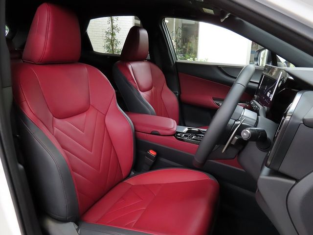 LEXUS NX350h AWD