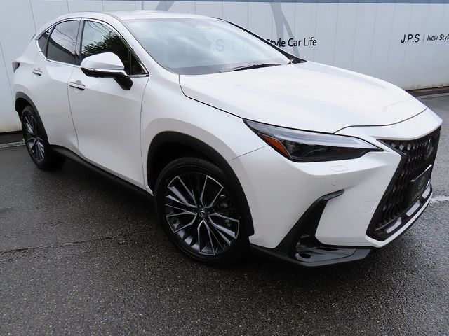 LEXUS NX350h AWD