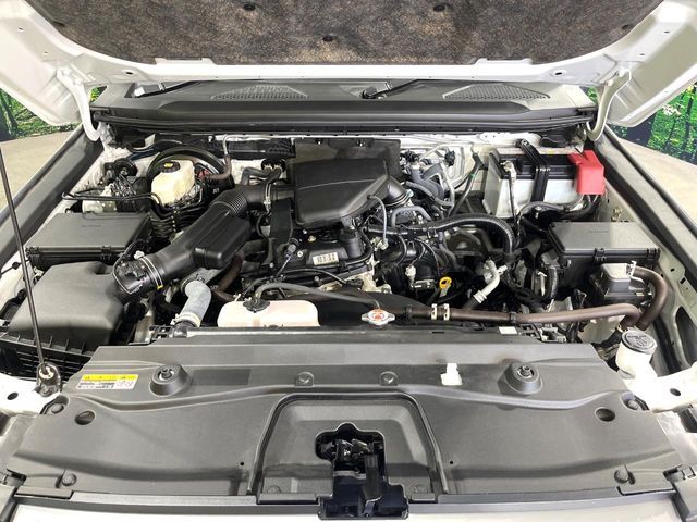LANDCRUISER 250