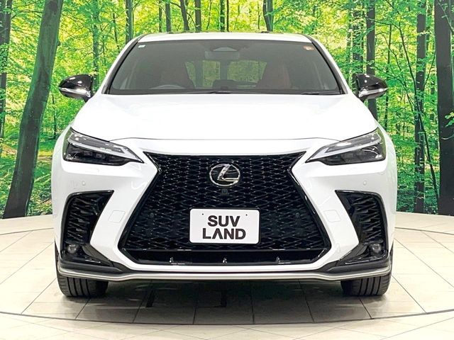 LEXUS NX350h