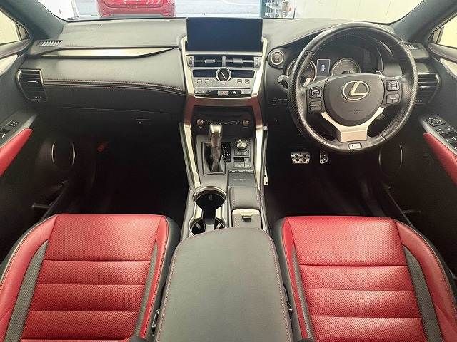 LEXUS NX300