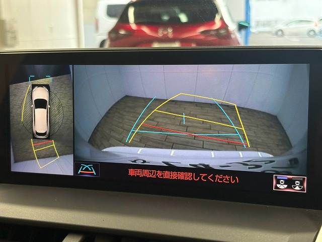 LEXUS NX300