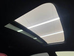 LEXUS NX300