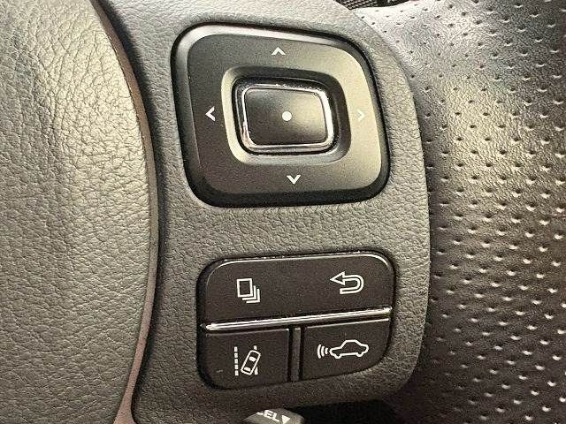 LEXUS NX300