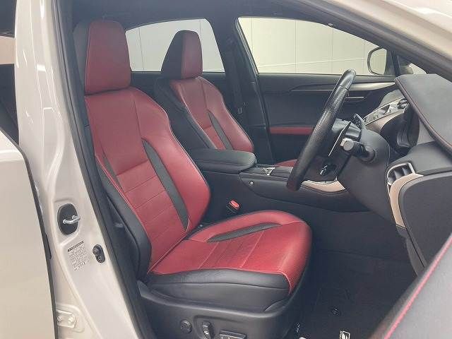 LEXUS NX300