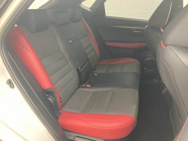 LEXUS NX300