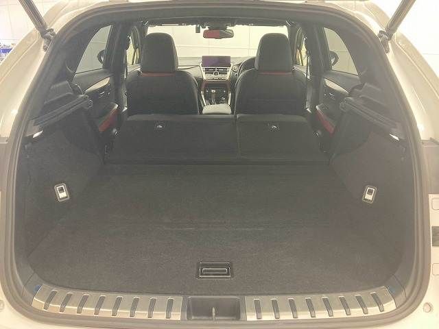 LEXUS NX300