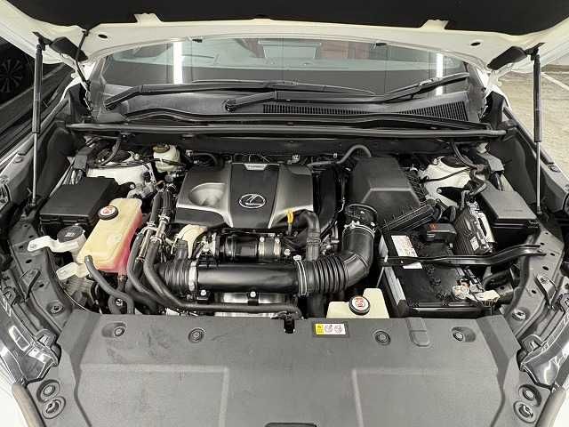 LEXUS NX300