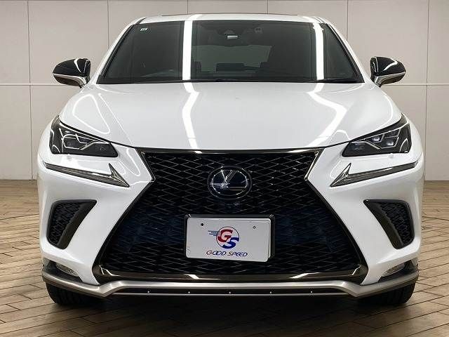 LEXUS NX300