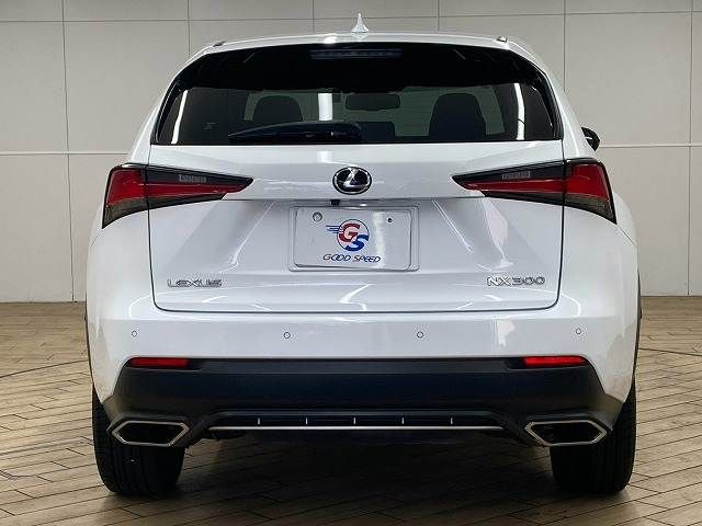 LEXUS NX300