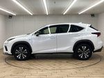 LEXUS NX300