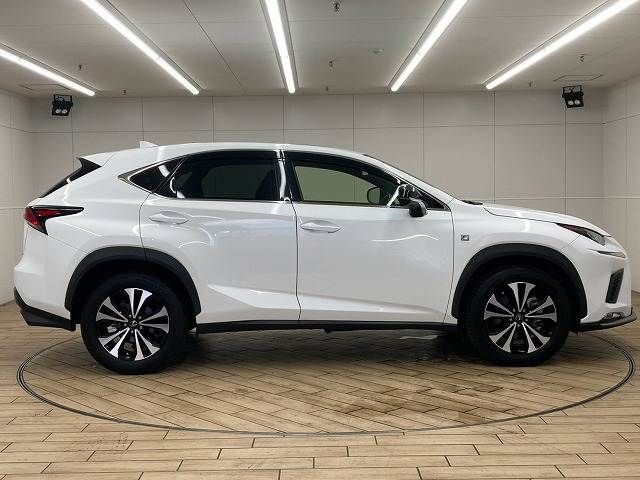 LEXUS NX300