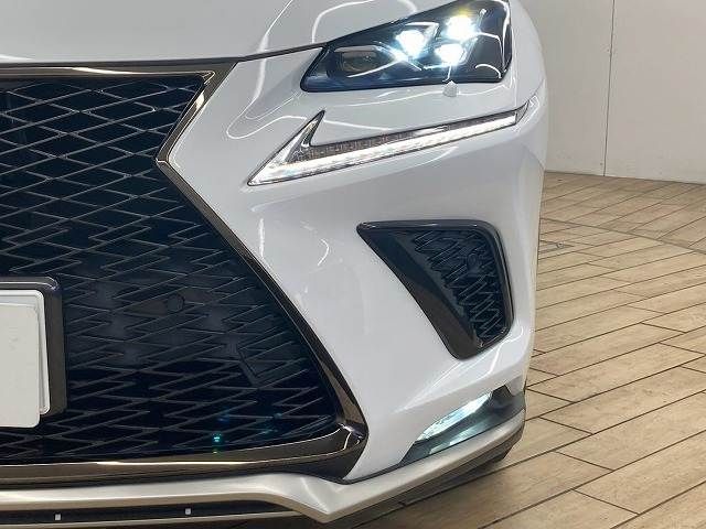 LEXUS NX300