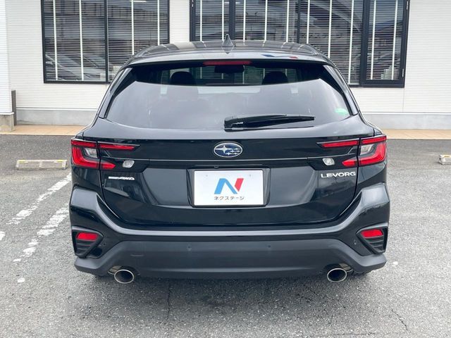 LEVORG