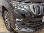 LANDCRUISER PRADO