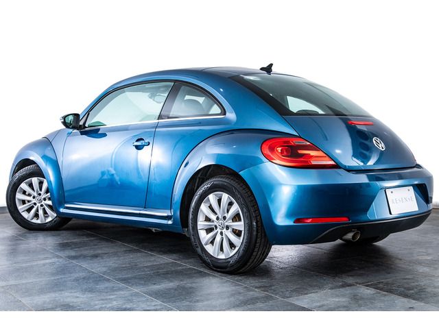 VOLKSWAGEN The BEETLE