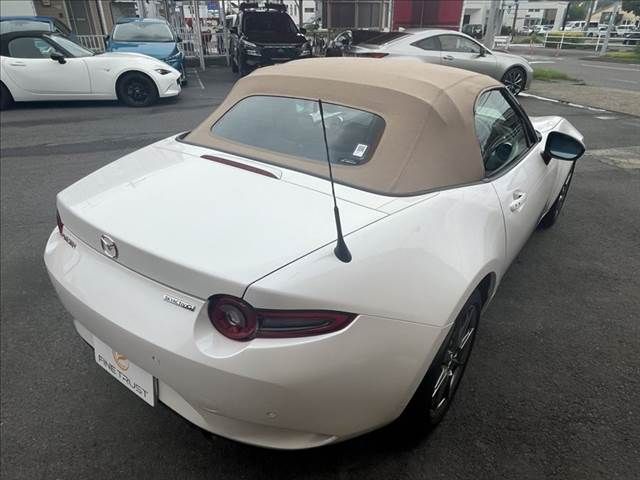 ROADSTER