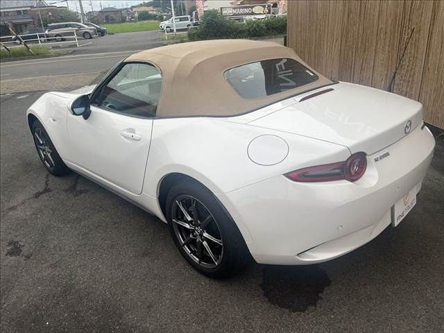 ROADSTER