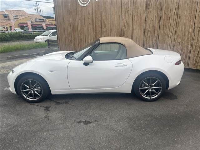 ROADSTER