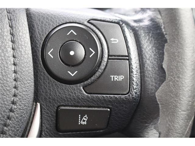 AURIS