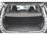 AURIS