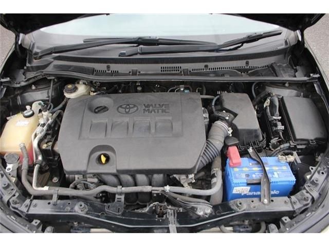 AURIS