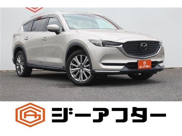 CX-8