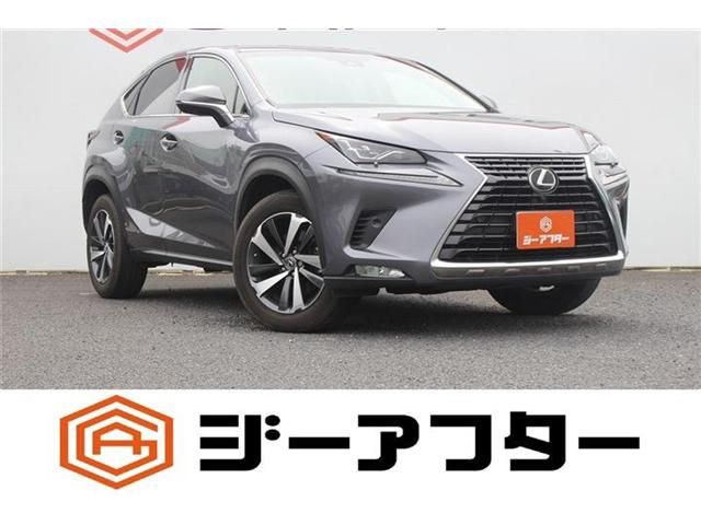 LEXUS NX300