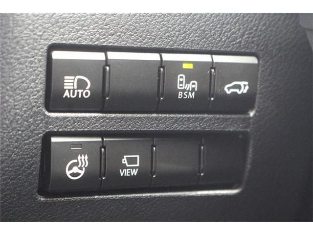 LEXUS NX300