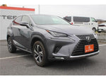 LEXUS NX300