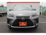 LEXUS NX300