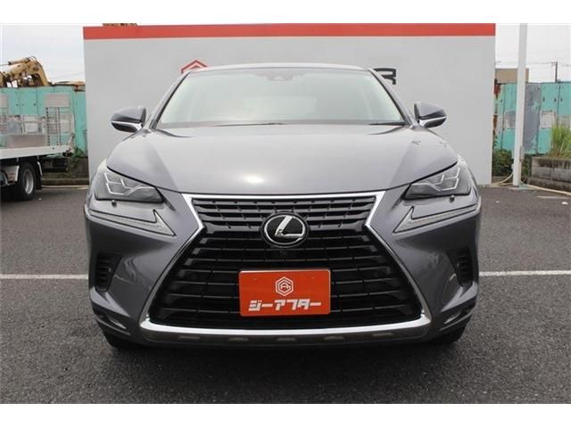 LEXUS NX300