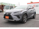 LEXUS NX300