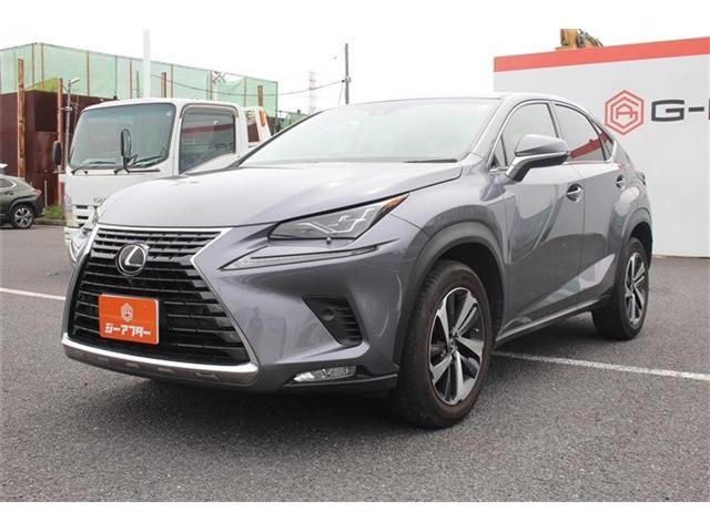 LEXUS NX300