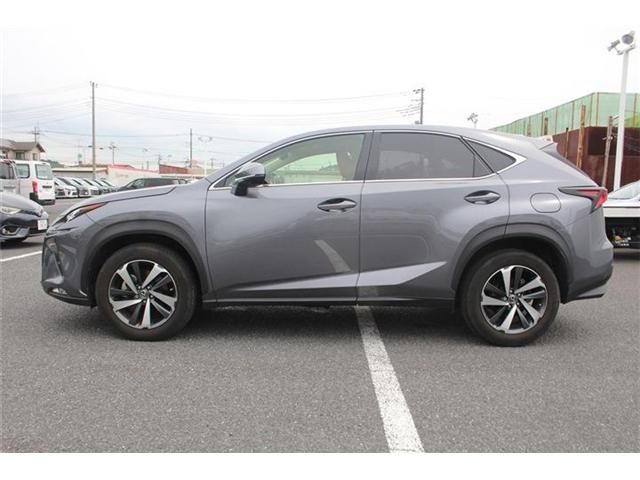 LEXUS NX300