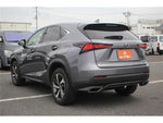 LEXUS NX300